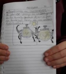 En images, l’école à la maison… et le reste !