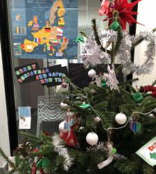 Mon beau sapin… européen !