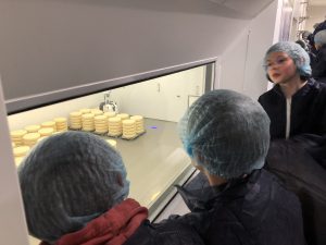 Visite fromagerie Even