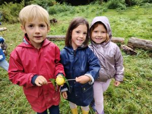 Promenons-nous dans les bois…